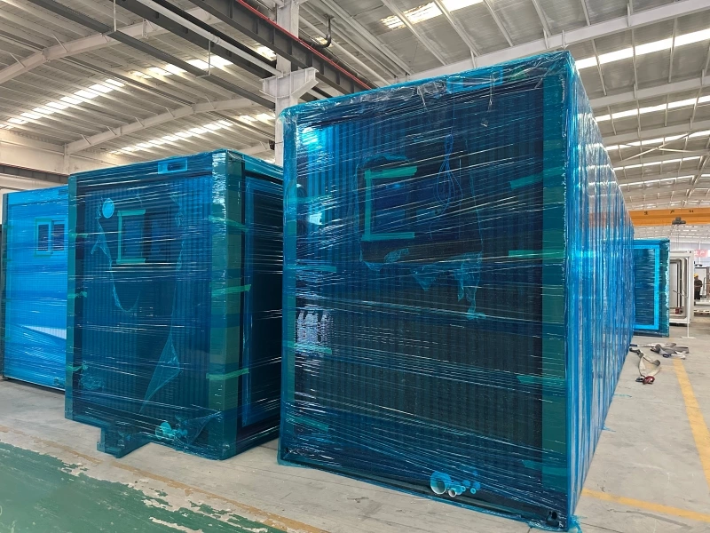 Manufacturing Excellence and Global Delivery